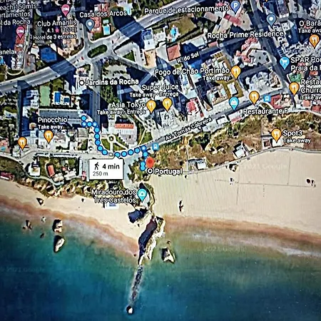 Cozy Da Rocha * ポルティマン